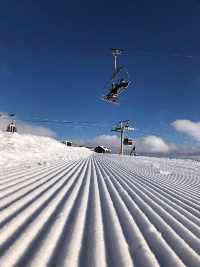 New Gudauri Redco Twins-Premium Mountain Apartment Close The Gondola Lift Eksteriør billede